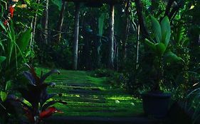 Bucu Hidden Guest House, And Meditation Center
